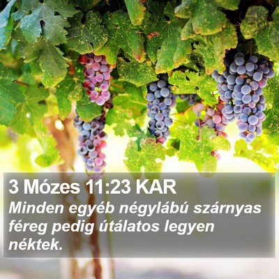 3 Mózes 11:23 KAR Bible Verse Image