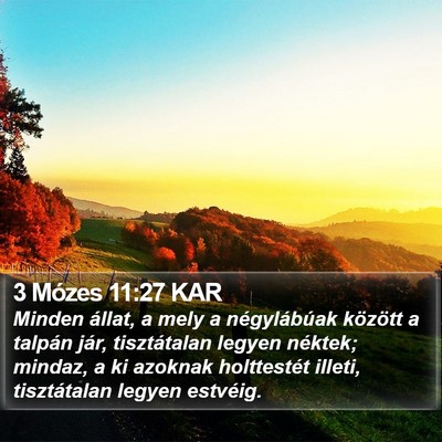 3 Mózes 11:27 KAR Bible Verse Image