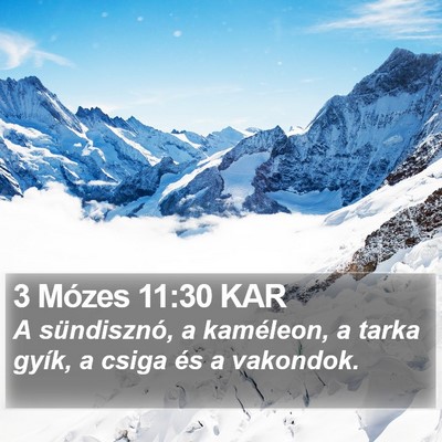 3 Mózes 11:30 KAR Bible Verse Image