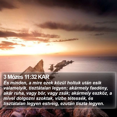 3 Mózes 11:32 KAR Bible Verse Image