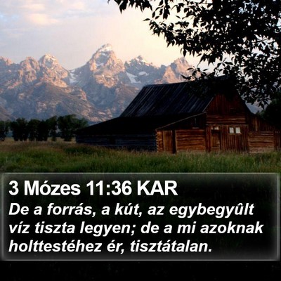 3 Mózes 11:36 KAR Bible Verse Image