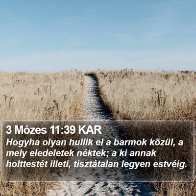 3 Mózes 11:39 KAR Bible Verse Image