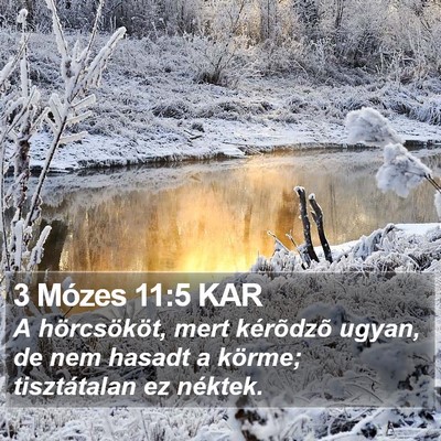 3 Mózes 11:5 KAR Bible Verse Image