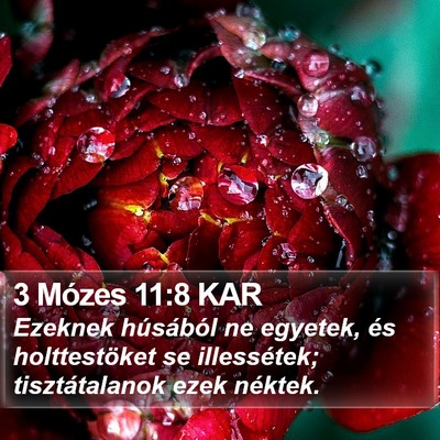 3 Mózes 11:8 KAR Bible Verse Image