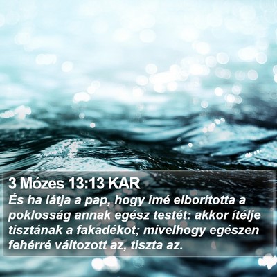 3 Mózes 13:13 KAR Bible Verse Image