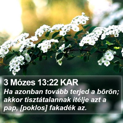 3 Mózes 13:22 KAR Bible Verse Image