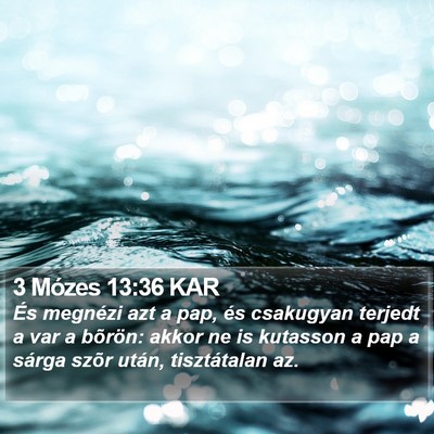 3 Mózes 13:36 KAR Bible Verse Image
