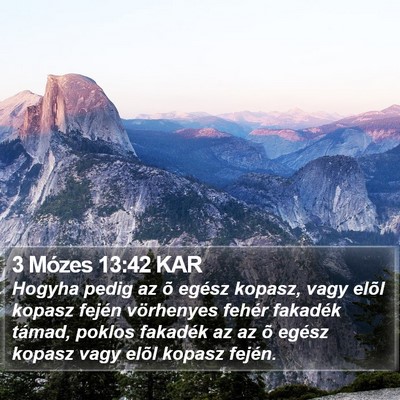 3 Mózes 13:42 KAR Bible Verse Image