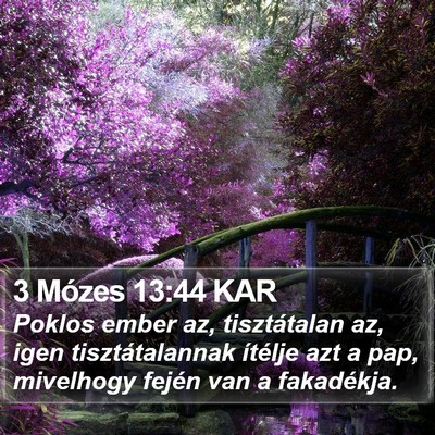 3 Mózes 13:44 KAR Bible Verse Image