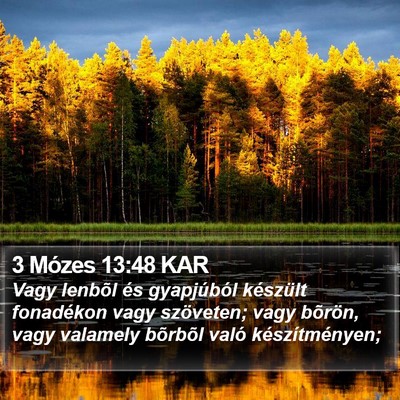 3 Mózes 13:48 KAR Bible Verse Image