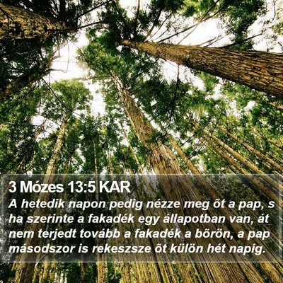 3 Mózes 13:5 KAR Bible Verse Image