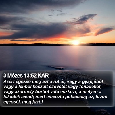 3 Mózes 13:52 KAR Bible Verse Image