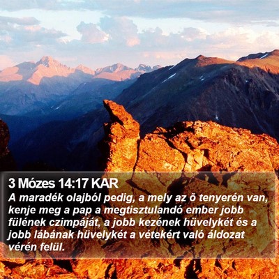 3 Mózes 14:17 KAR Bible Verse Image