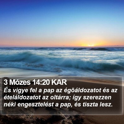 3 Mózes 14:20 KAR Bible Verse Image