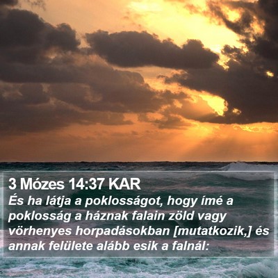 3 Mózes 14:37 KAR Bible Verse Image