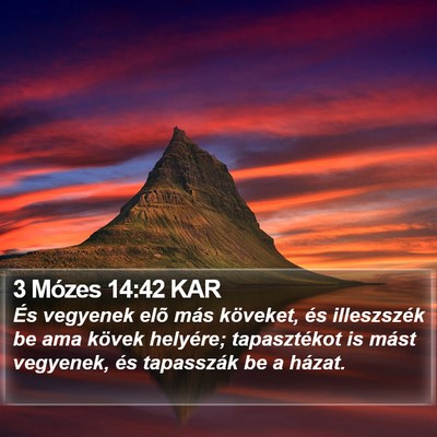 3 Mózes 14:42 KAR Bible Verse Image