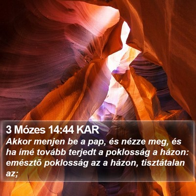 3 Mózes 14:44 KAR Bible Verse Image