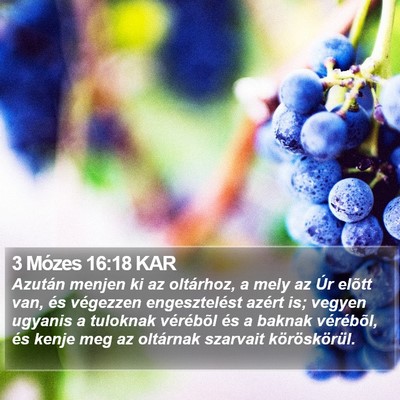 3 Mózes 16:18 KAR Bible Verse Image