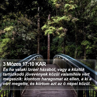 3 Mózes 17:10 KAR Bible Verse Image