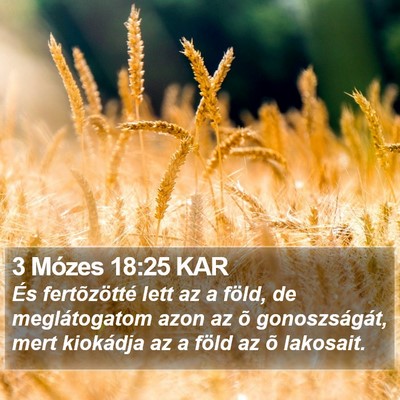 3 Mózes 18:25 KAR Bible Verse Image