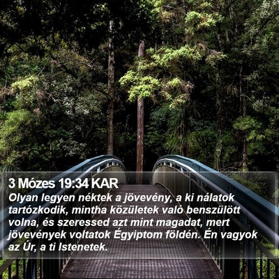 3 Mózes 19:34 KAR Bible Verse Image