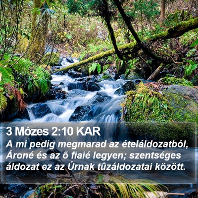 3 Mózes 2:10 KAR Bible Verse Image