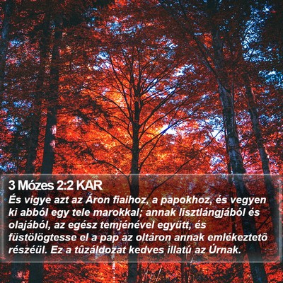 3 Mózes 2:2 KAR Bible Verse Image