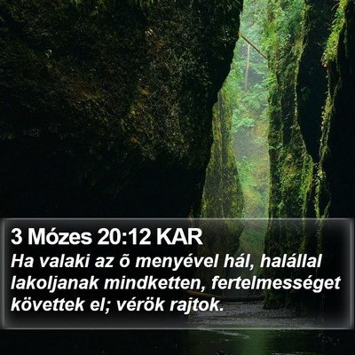 3 Mózes 20:12 KAR Bible Verse Image