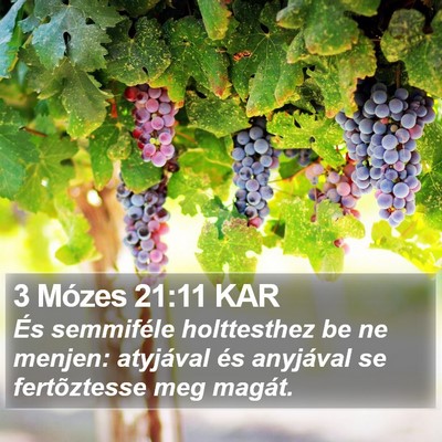 3 Mózes 21:11 KAR Bible Verse Image