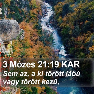 3 Mózes 21:19 KAR Bible Verse Image