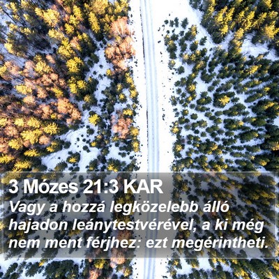 3 Mózes 21:3 KAR Bible Verse Image