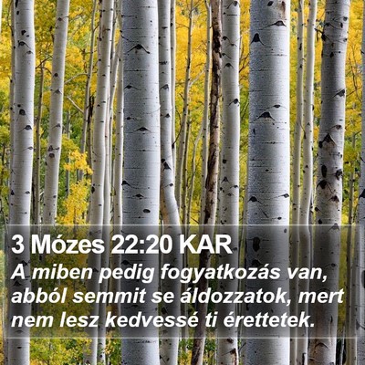 3 Mózes 22:20 KAR Bible Verse Image
