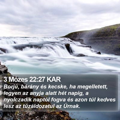 3 Mózes 22:27 KAR Bible Verse Image