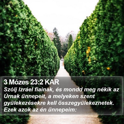 3 Mózes 23:2 KAR Bible Verse Image
