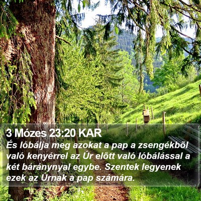 3 Mózes 23:20 KAR Bible Verse Image