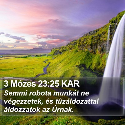 3 Mózes 23:25 KAR Bible Verse Image