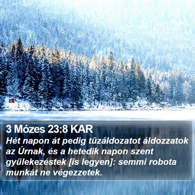 3 Mózes 23:8 KAR Bible Verse Image