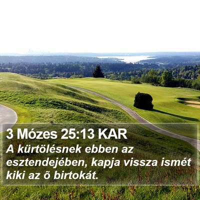 3 Mózes 25:13 KAR Bible Verse Image
