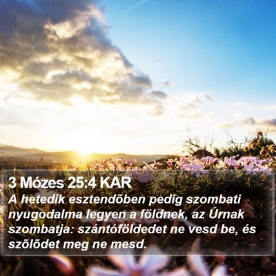 3 Mózes 25:4 KAR Bible Verse Image