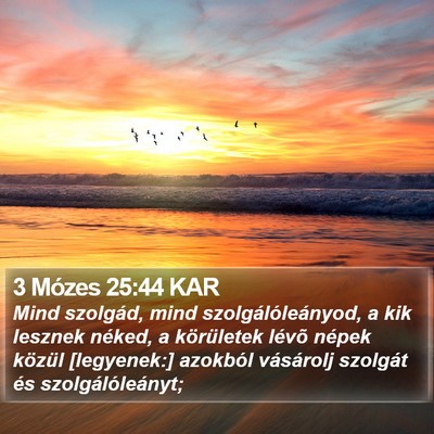 3 Mózes 25:44 KAR Bible Verse Image