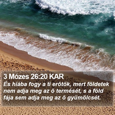 3 Mózes 26:20 KAR Bible Verse Image