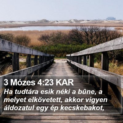 3 Mózes 4:23 KAR Bible Verse Image