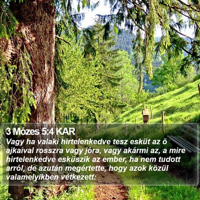 3 Mózes 5:4 KAR Bible Verse Image