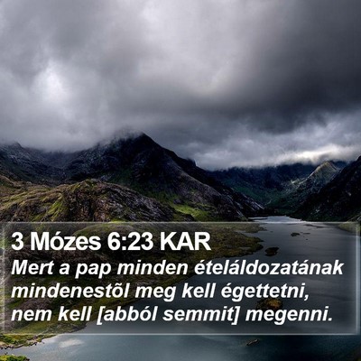 3 Mózes 6:23 KAR Bible Verse Image