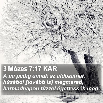 3 Mózes 7:17 KAR Bible Verse Image