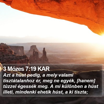 3 Mózes 7:19 KAR Bible Verse Image