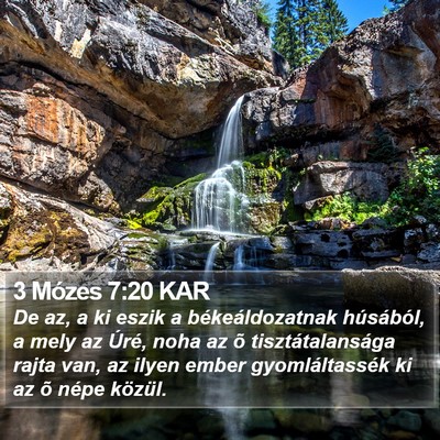 3 Mózes 7:20 KAR Bible Verse Image