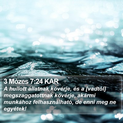 3 Mózes 7:24 KAR Bible Verse Image
