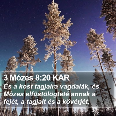 3 Mózes 8:20 KAR Bible Verse Image