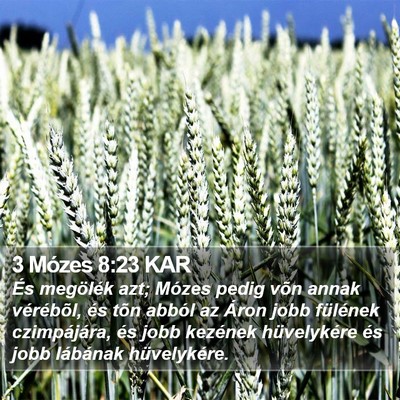 3 Mózes 8:23 KAR Bible Verse Image
